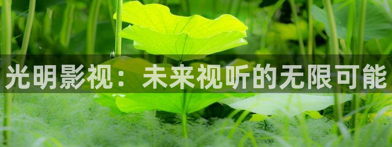 茄子视频色版：光明影视：未来视听的无限可能