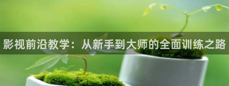 茄子视频色版