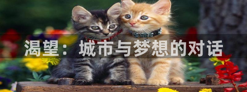 茄子视频 magnet