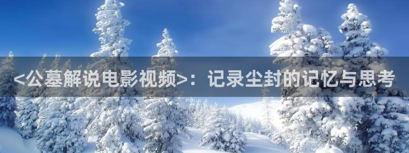 qiezi茄子视频