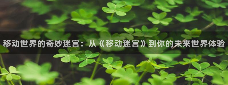 茄子视频www