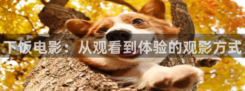 樱花视频茄子视频