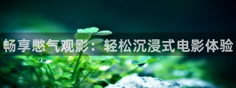 四虎茄子视频