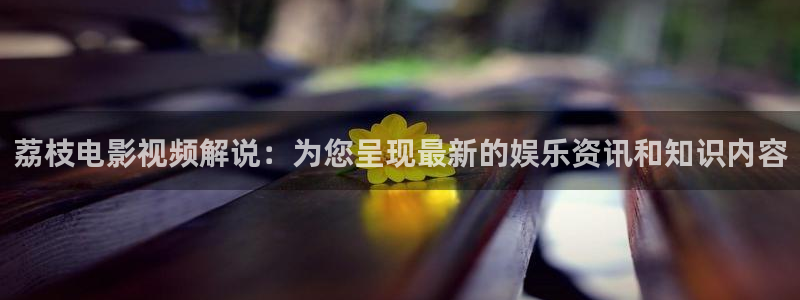 茄子视频视频
