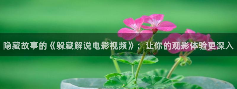 茄子视频一
