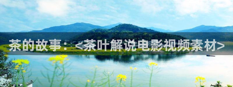 茄子视频一