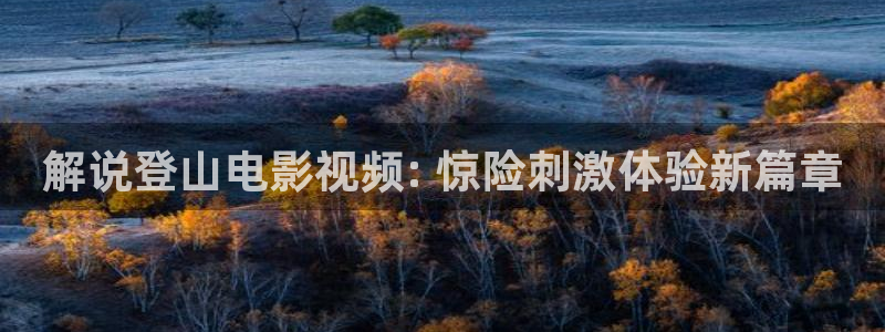 四虎茄子视频