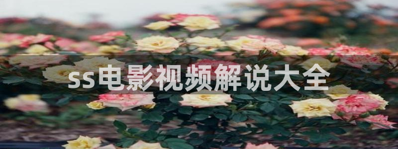 茄子视频了
