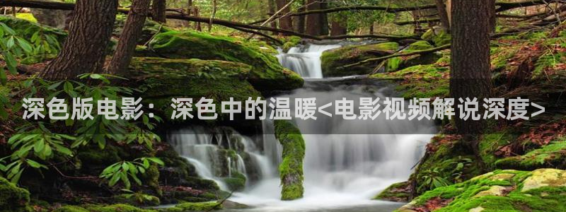 茄子视频一