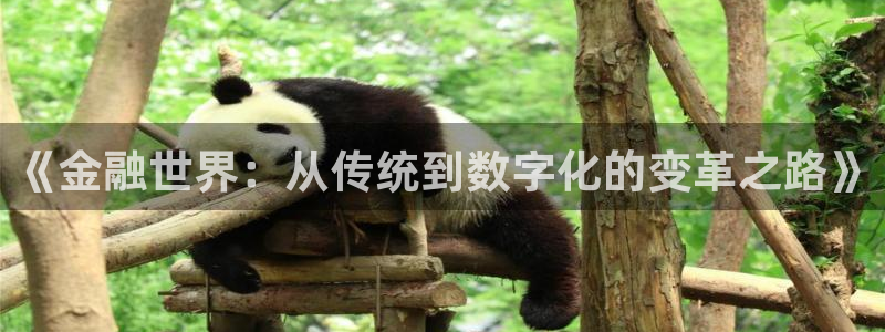 茄子视频?