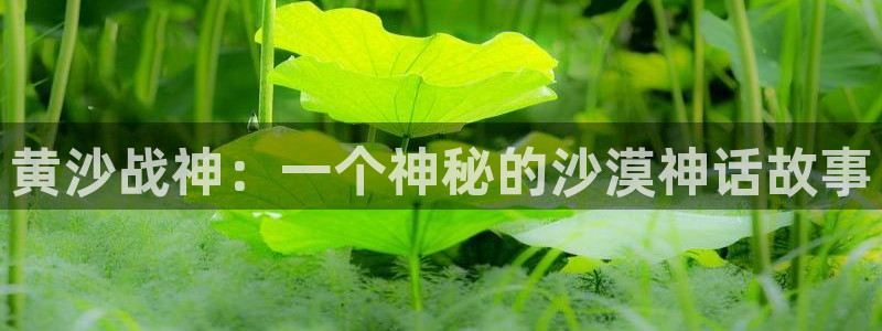 茄子视频?