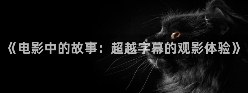 丝瓜茄子视频在线观看