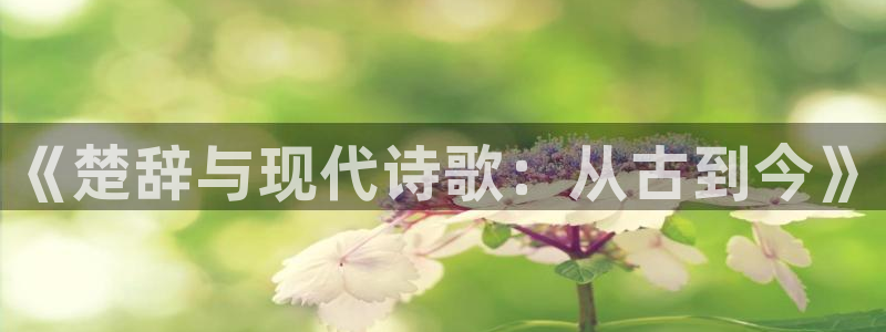 茄子视频www