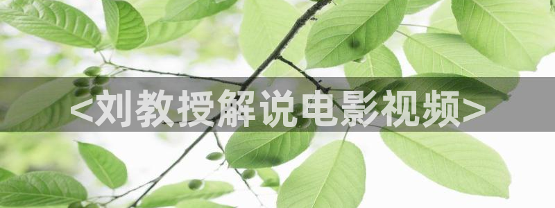 茄子视频了