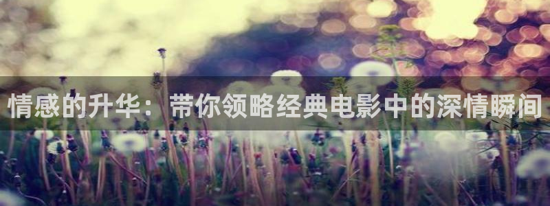 樱桃茄子视频